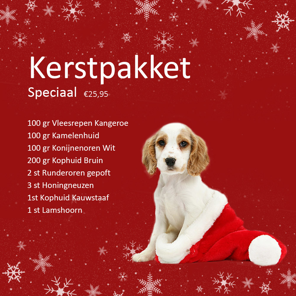 Kerstpakket – | Snacks4Dogs.nl